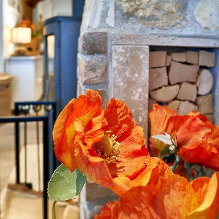 Villa Paula In - Wg01 